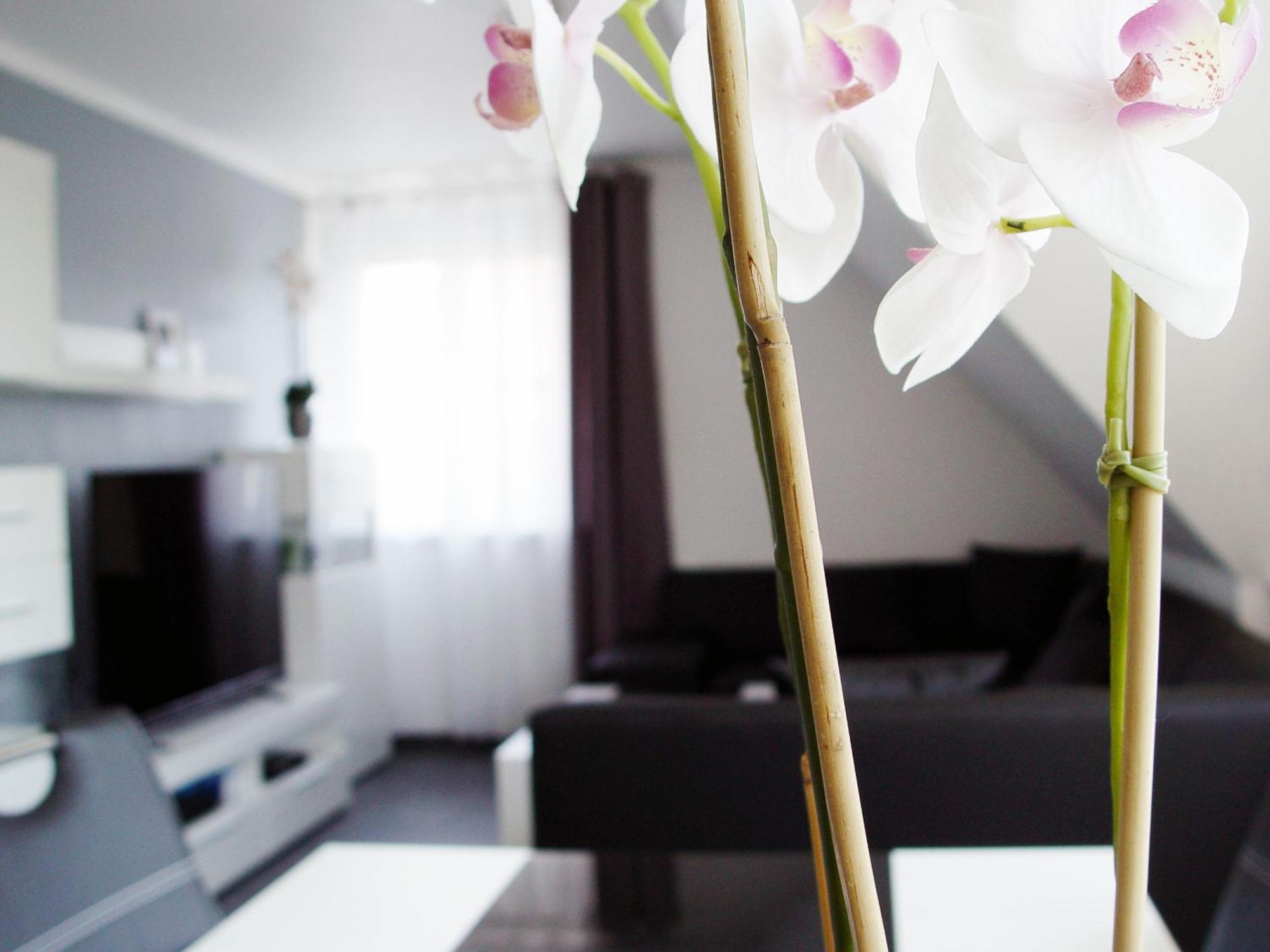 La Domus Premium Appartement Lotte Buitenkant foto